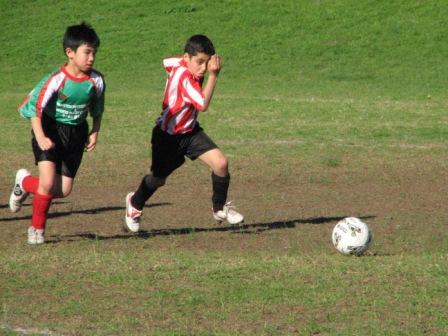 Copy%20of%20IMG_2153c.JPG